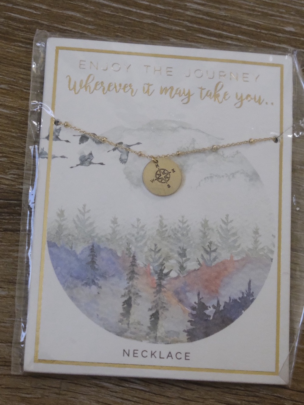 francesca’s compass necklace